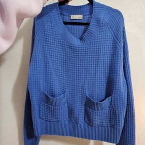 Everlane Cashmere Blue Sweater with Pockets